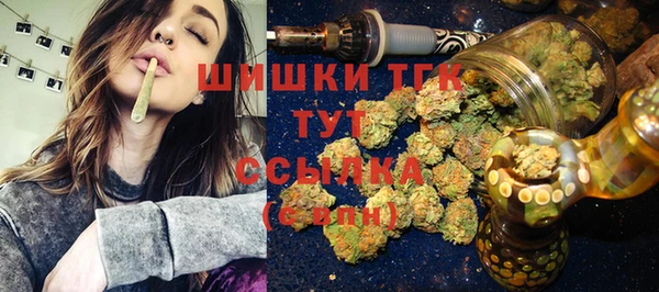 ешки Вяземский