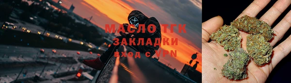 ешки Вяземский