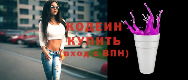 ешки Вяземский