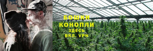 ешки Вяземский
