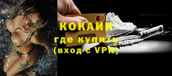 ешки Вяземский
